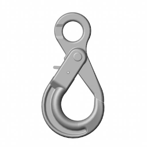 Grade 10 Eye Type Self Locking Hook G10ESLH