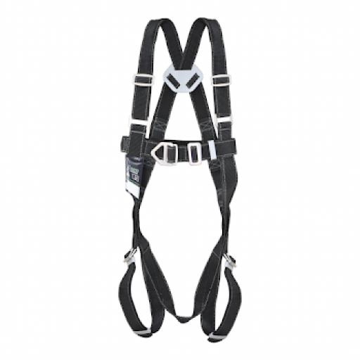 2 Point Elasticated Full Body Harness - FA 10 107 00 - Move 1