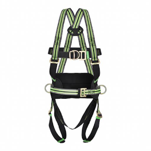 4 Point Full Body Harness - FA 10 205 00